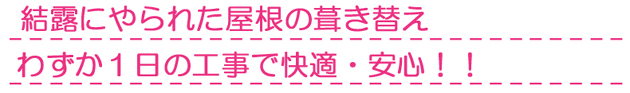 結露にやられた屋根もわずか1日の葺き替え工事で快適・安心!