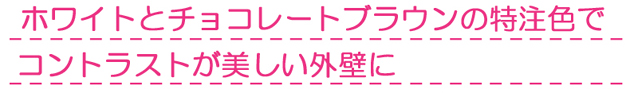 オリジナルカラーの外壁・屋根塗装