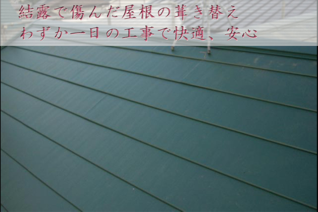 結露にやられた屋根もわずか1日の葺き替え工事で快適・安心!:埼玉県所沢市