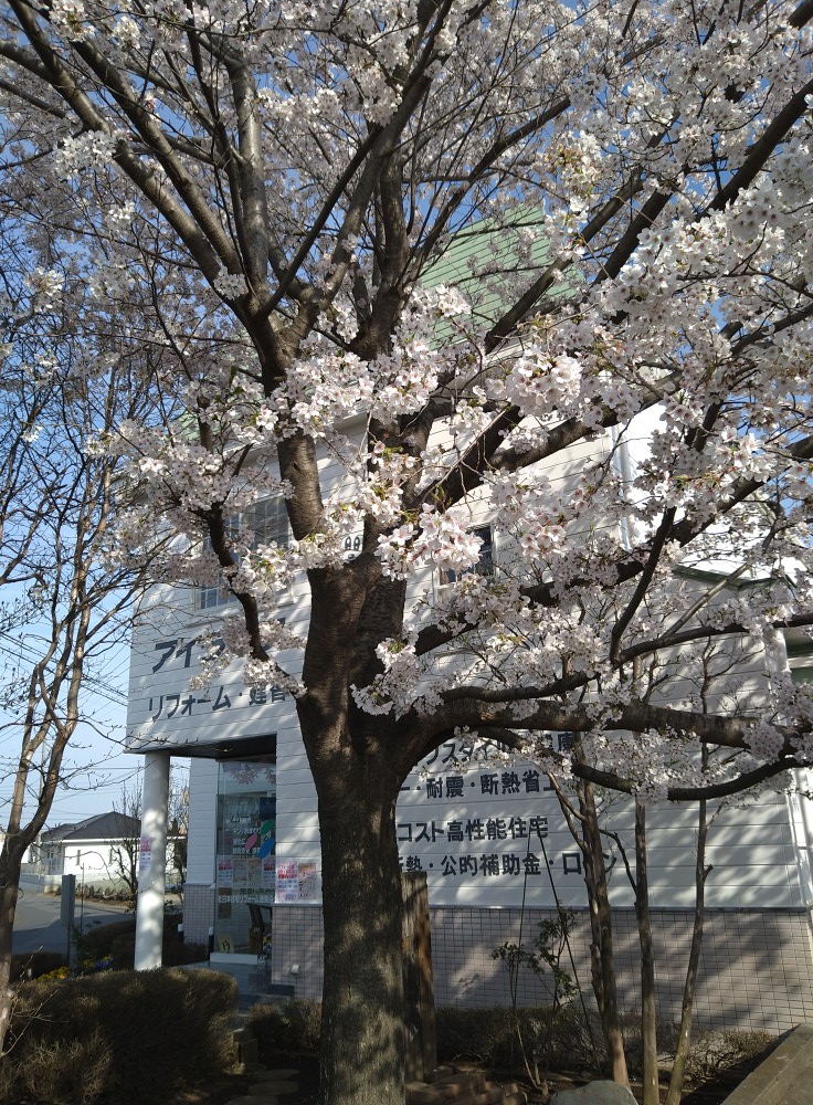 相談会にご来場ありがとうございました。