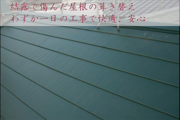 結露にやられた屋根もわずか１日の葺き替え工事で快適・安心！：埼玉県所沢市
